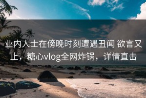 业内人士在傍晚时刻遭遇丑闻 欲言又止，糖心vlog全网炸锅，详情直击