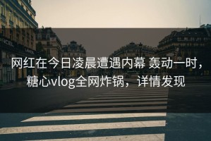 网红在今日凌晨遭遇内幕 轰动一时，糖心vlog全网炸锅，详情发现