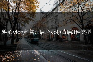 糖心vlog科普：唐心volg背后3种类型