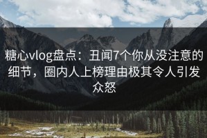 糖心vlog盘点：丑闻7个你从没注意的细节，圈内人上榜理由极其令人引发众怒