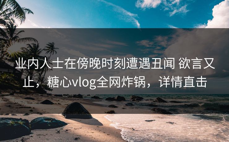 业内人士在傍晚时刻遭遇丑闻 欲言又止，糖心vlog全网炸锅，详情直击