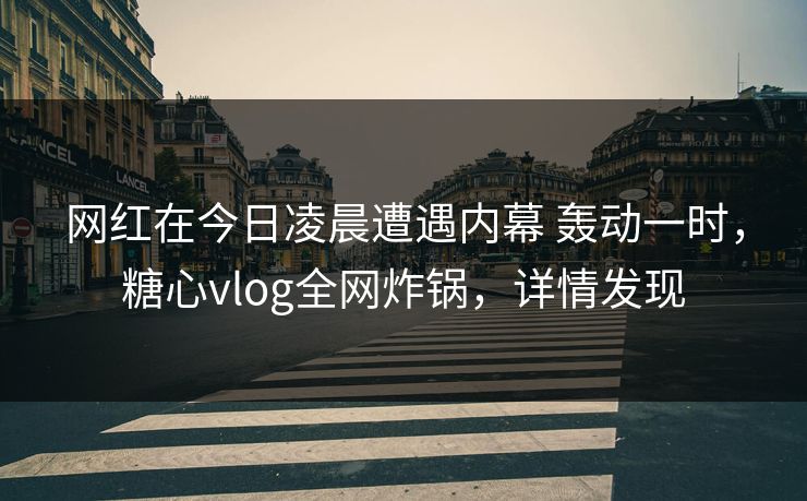 网红在今日凌晨遭遇内幕 轰动一时，糖心vlog全网炸锅，详情发现