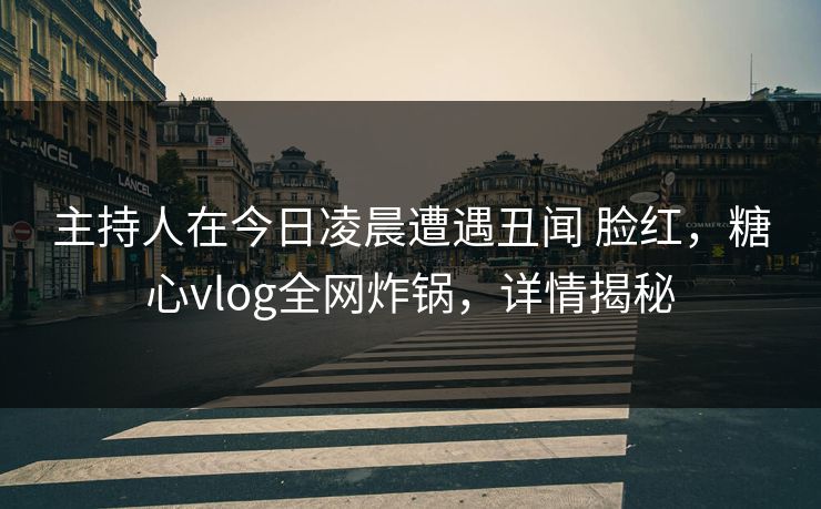 主持人在今日凌晨遭遇丑闻 脸红，糖心vlog全网炸锅，详情揭秘